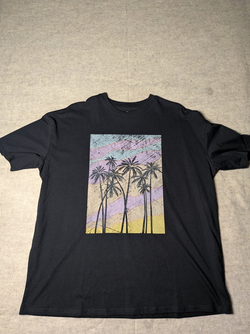 Natural Reflections Black Tee with Pastel Palm Stripe Graphic